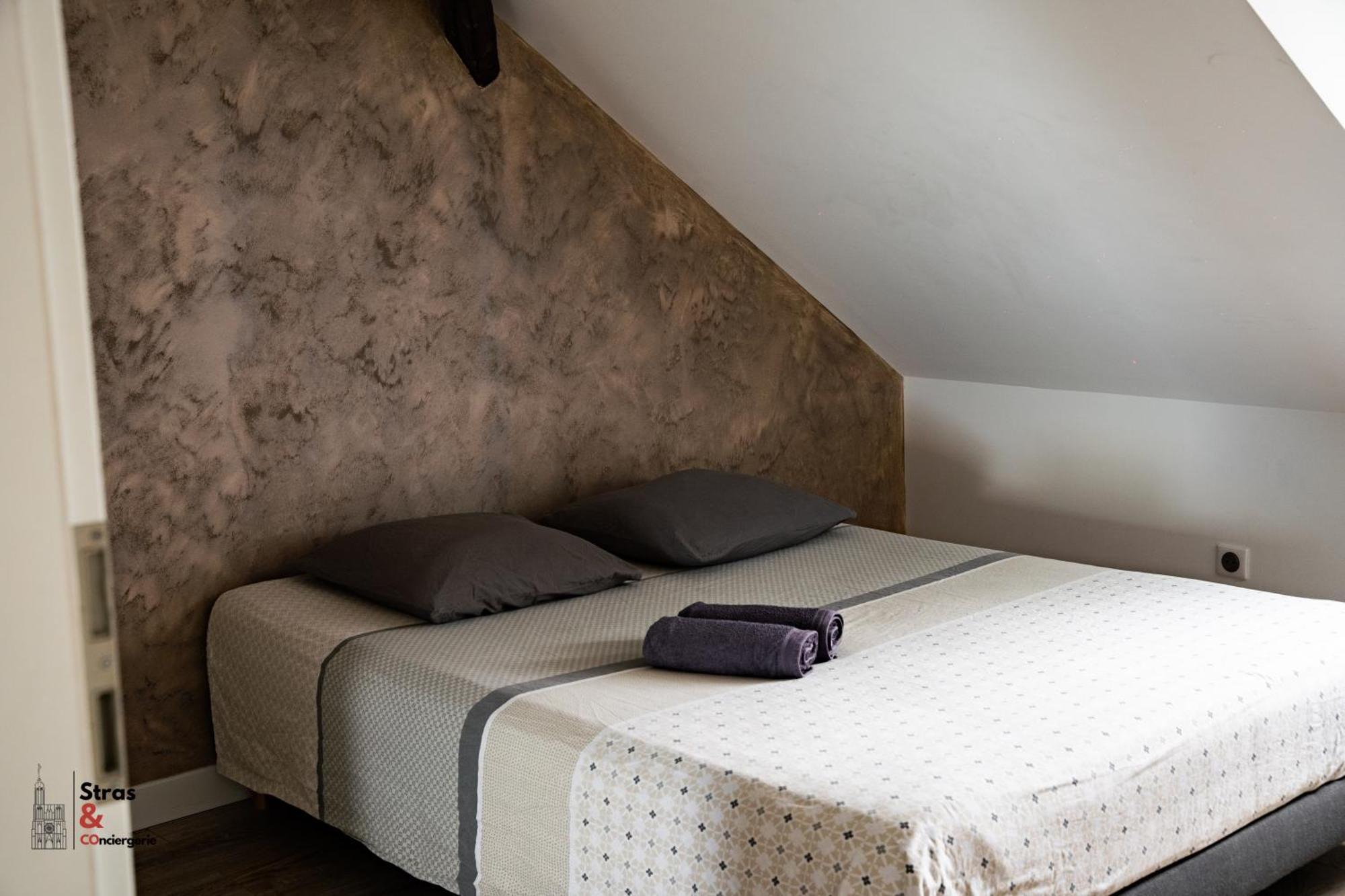 Apartament Belles Combles Alsaciennes Au Centre De Strasburg Zewnętrze zdjęcie